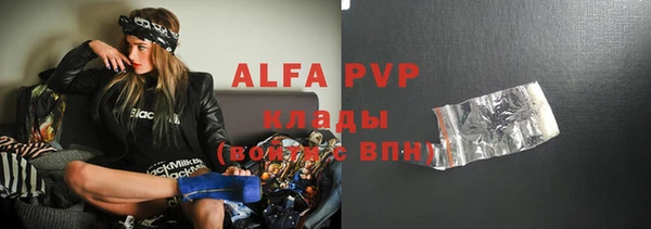 spice Дмитриев