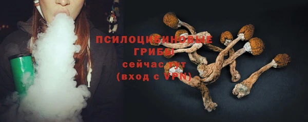 spice Дмитриев
