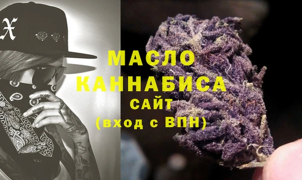 spice Дмитриев