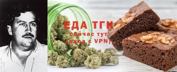 spice Дмитриев