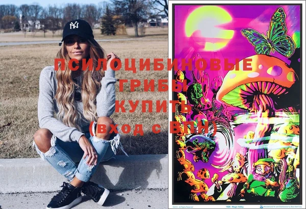 spice Дмитриев