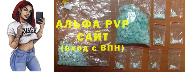 spice Дмитриев