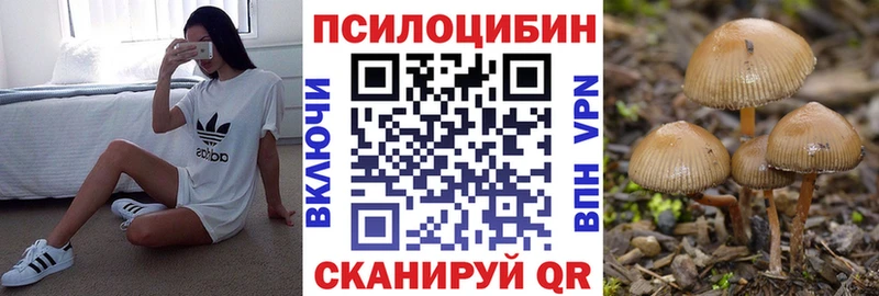 Купить где Ухта Псилоцибиновые грибы GOLDEN TEACHER