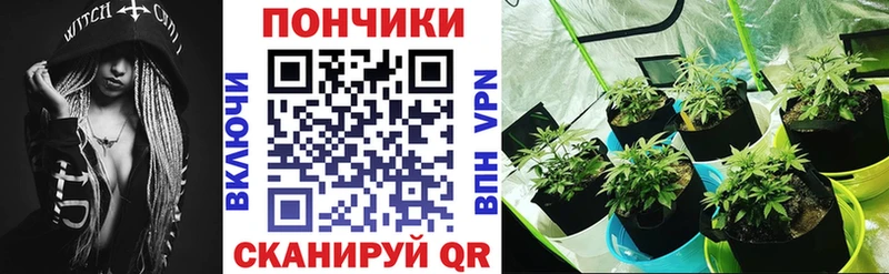 Шишки марихуана марихуана Купить Ухта